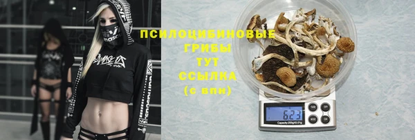Альфа ПВП Богородск