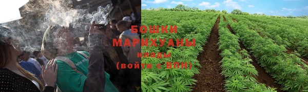 кокс Богданович