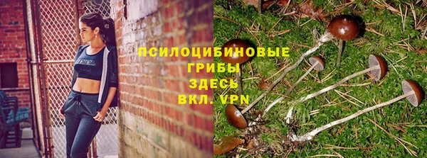 Альфа ПВП Богородск