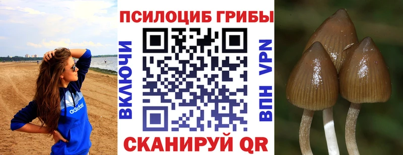 наркота  мега ONION  Псилоцибиновые грибы прущие грибы  Кировск 